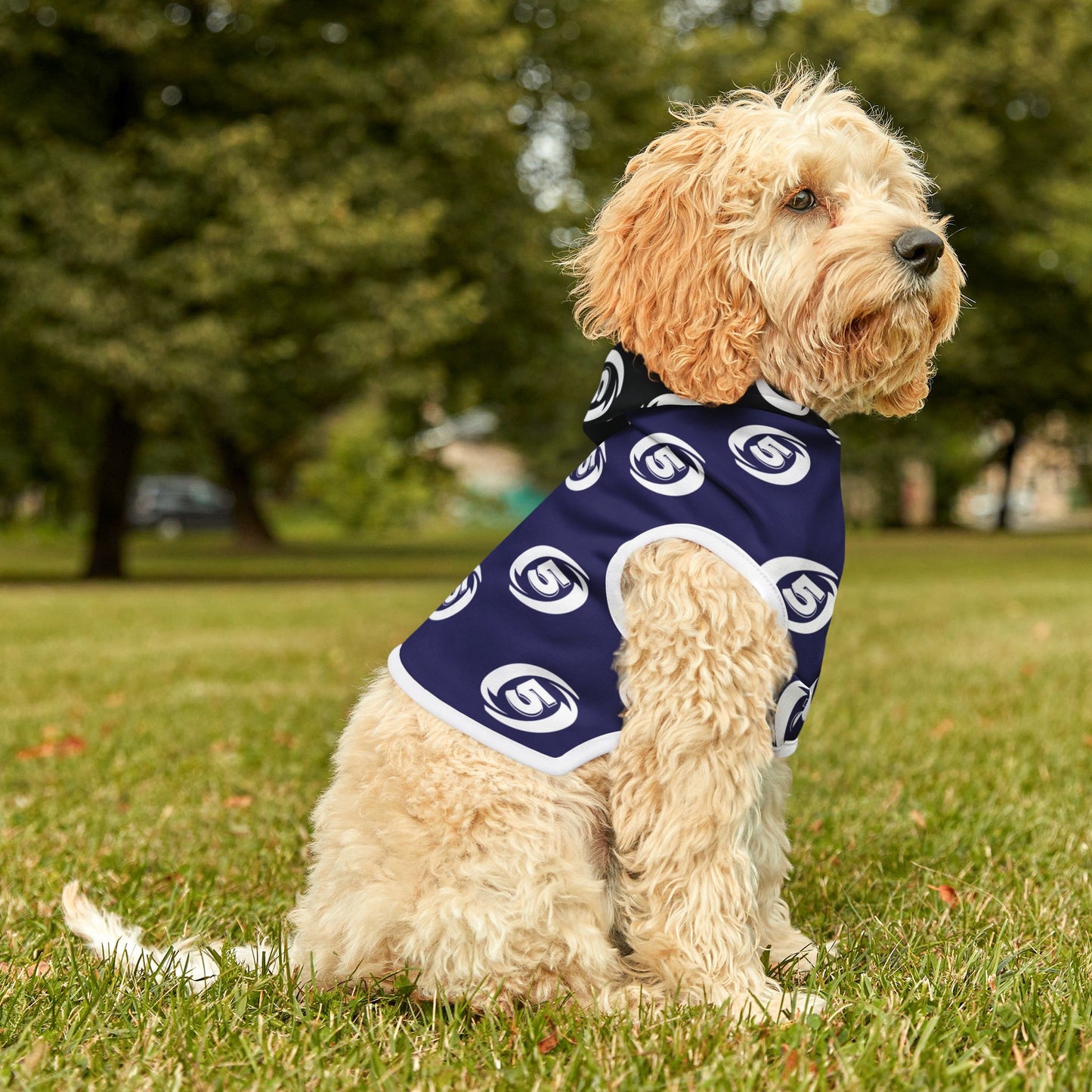 Cat-5 - Stylish Pet Hoodie